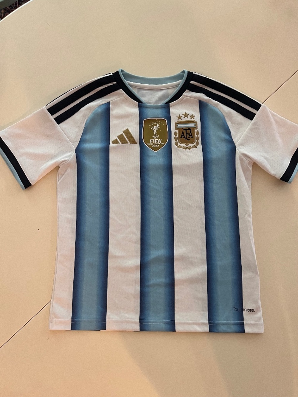 2026 Argentina World Cup jersey youth medium